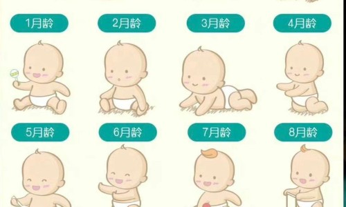 天津格林国际幼儿园学费-怎样燃烧腿上的脂肪网 - 为你提供方得人心的意思、怎样燃烧腿上的脂肪最有效